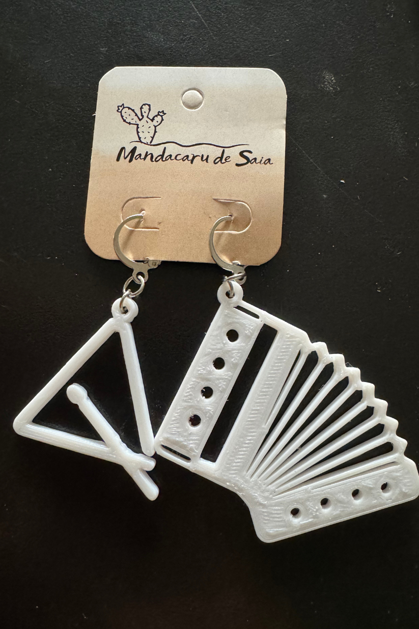 Brincos "Mandacaru de Saia"